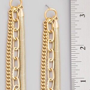 Chain Earrings NWOT